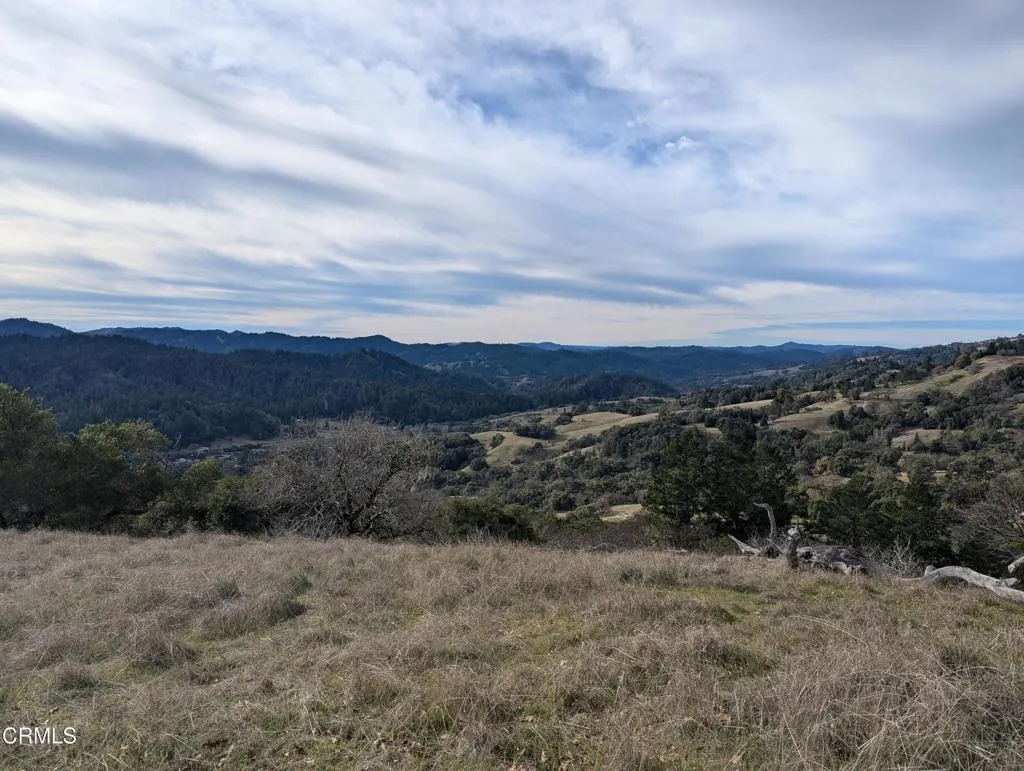 24051 Fig Tree Hopland, CA 95449 - Photo 7 of 19 a view of a dry yard with green space