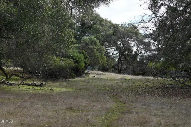 a view of a dry yard with mountains in the background
