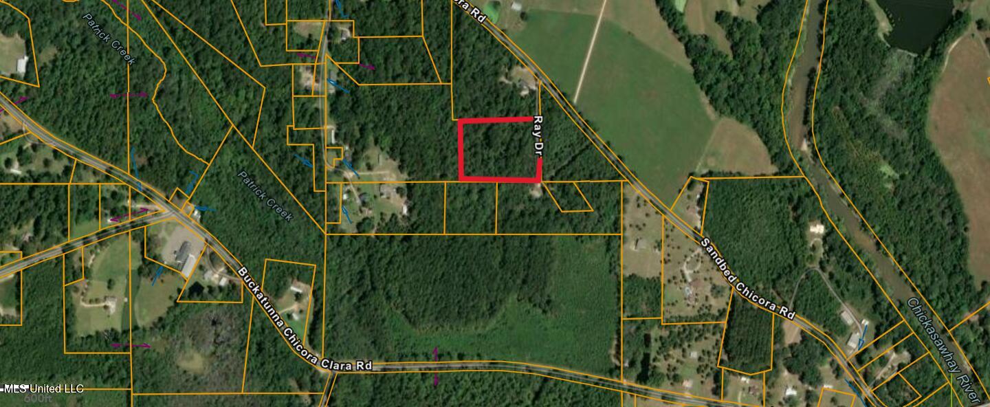 Us-45 Buckatunna, MS 39322 - Photo 8 of 8 Satellite Image of Property