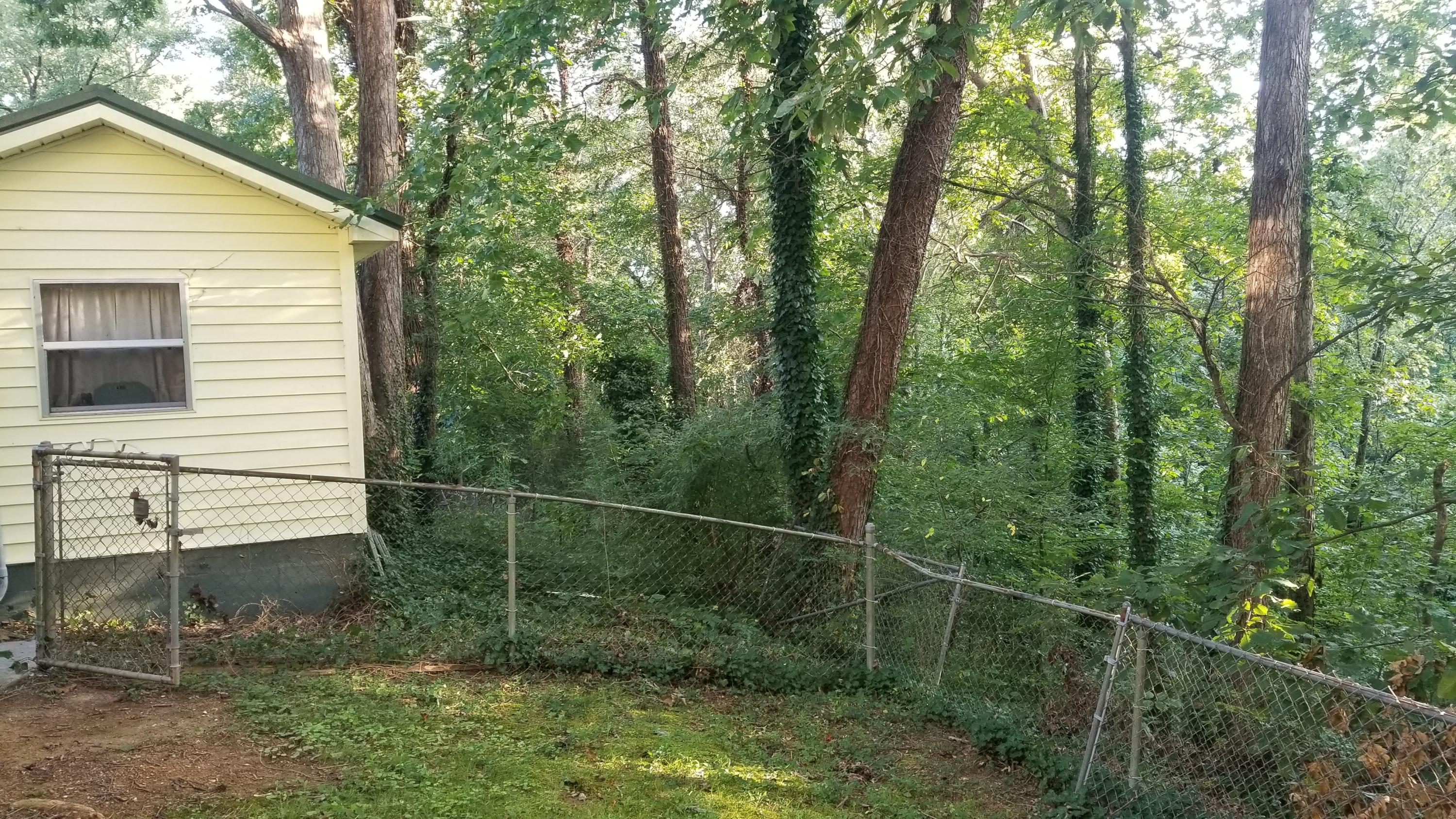 151 Pine Ridge Road Heiskell, TN 37754 - Photo 5 of 19 20190815_191705