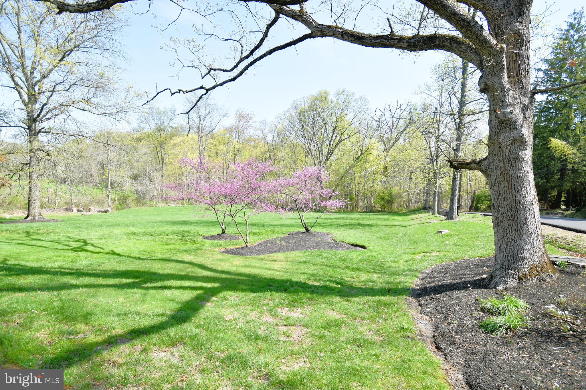 large yard