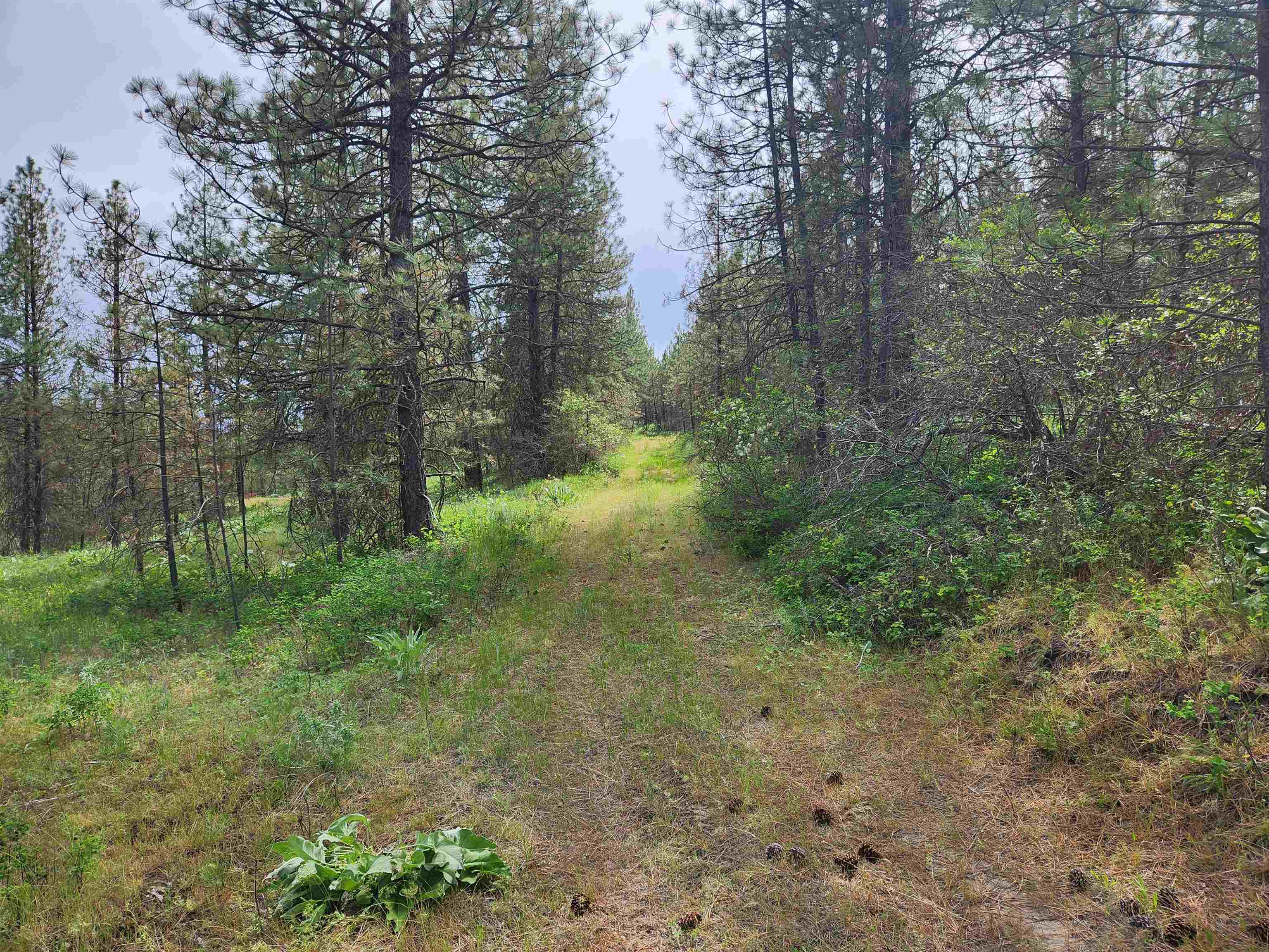 6269 Miller Mountain Road Fruitland, WA 99129 - Photo 1 of 10