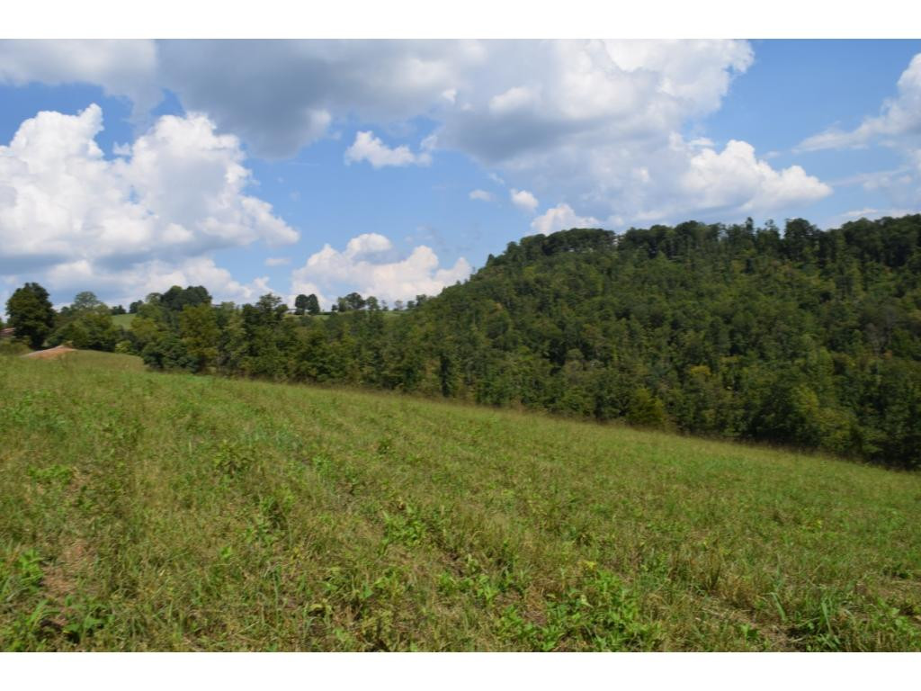 2 Raven Hill Road, Unit 3 Tazewell, TN 37879 - Photo 5 of 14 Photo 5