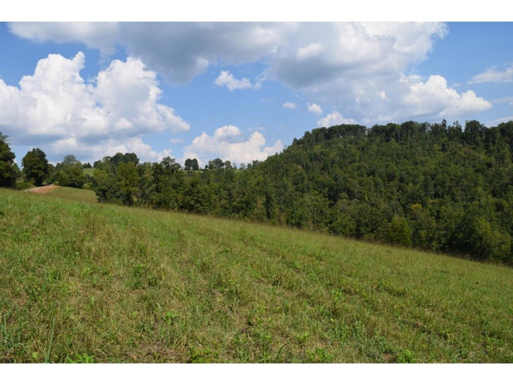 2 Raven Hill Road, Unit 3 Tazewell, TN 37879 - Photo 8 of 14 Photo 8