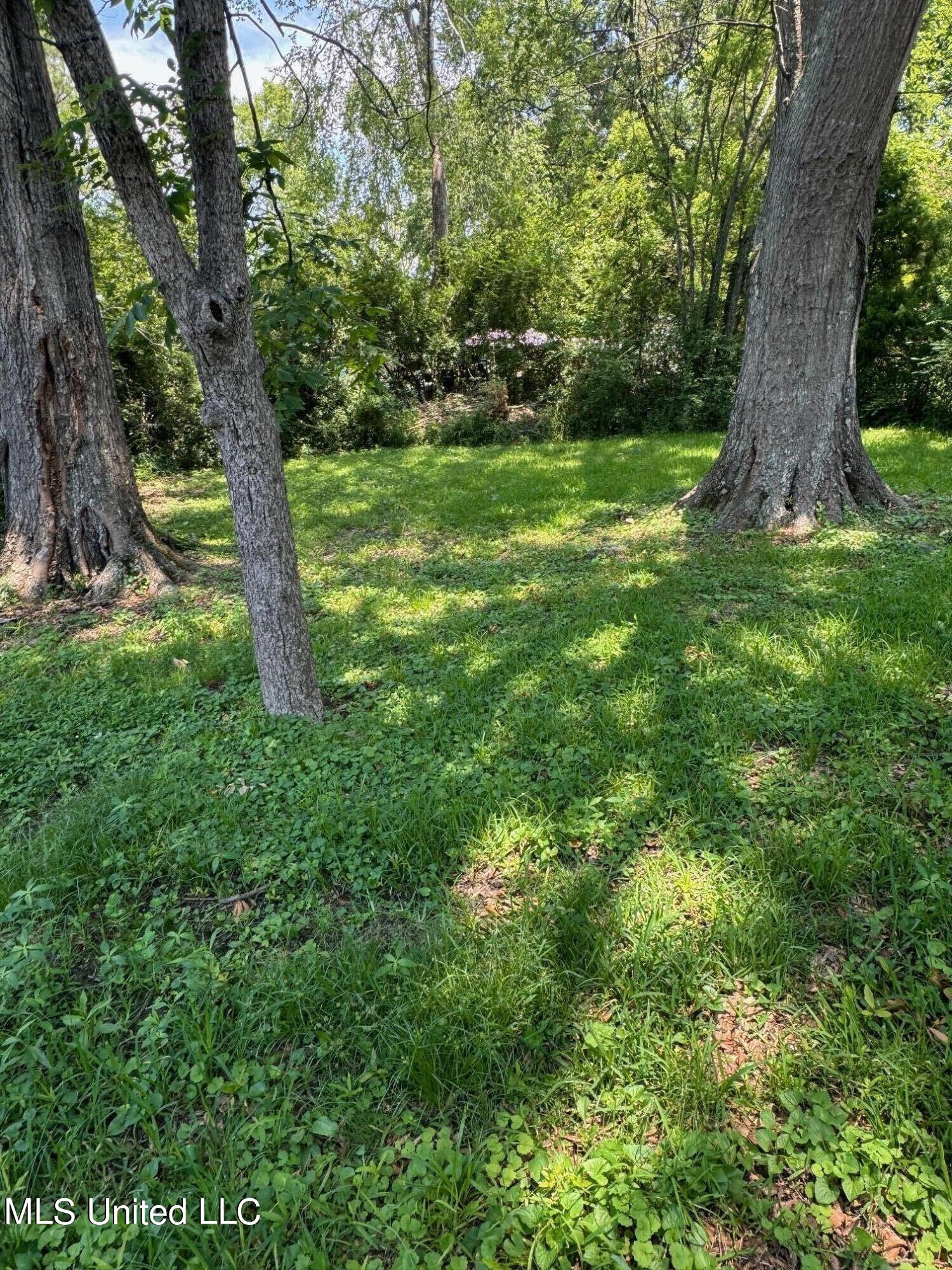 0 Bo Murphy Road Canton, MS 39046 - Photo 1 of 1 IMG_7170