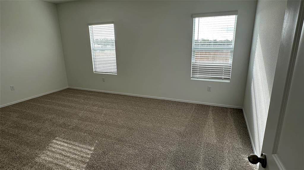 204 Inks Lane Kyle, TX 78640 - Photo 17 of 25 A well-lit bedroom features plush carpeting and multiple windows for abundant natural light.