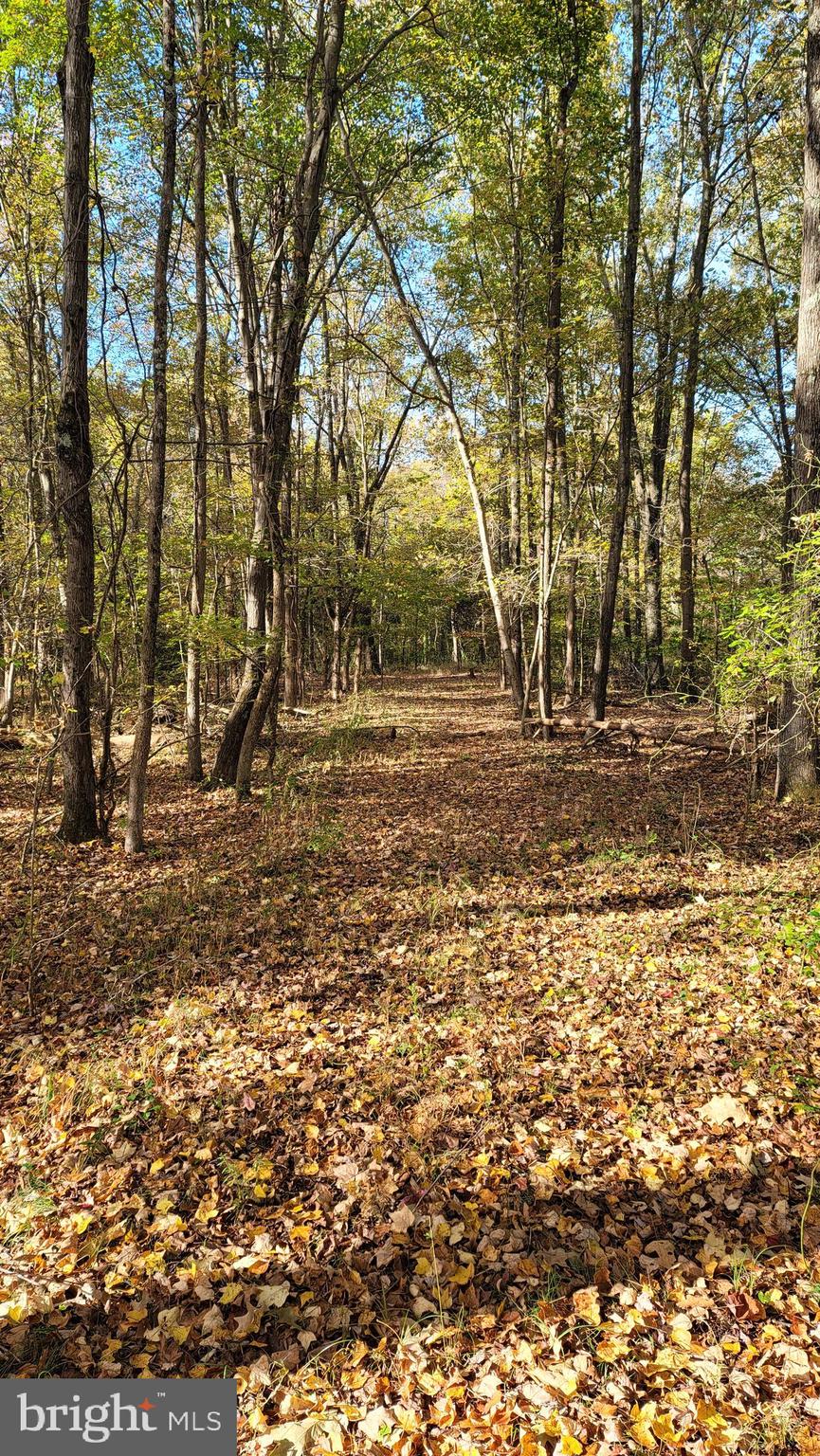 Bumpy Oak Road La Plata, MD 20646 - Photo 1 of 6