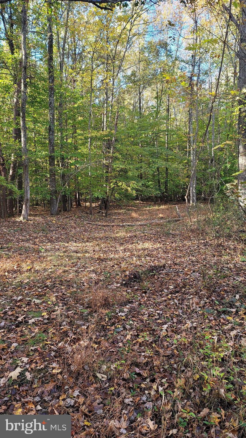 Bumpy Oak Road La Plata, MD 20646 - Photo 2 of 6