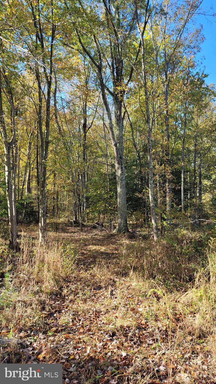 Bumpy Oak Road La Plata, MD 20646 - Photo 4 of 6