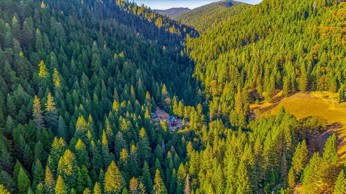 200 Craycroft Ridge Road Downieville, CA 95936 - Photo 59 of 69 Gallery Image 59