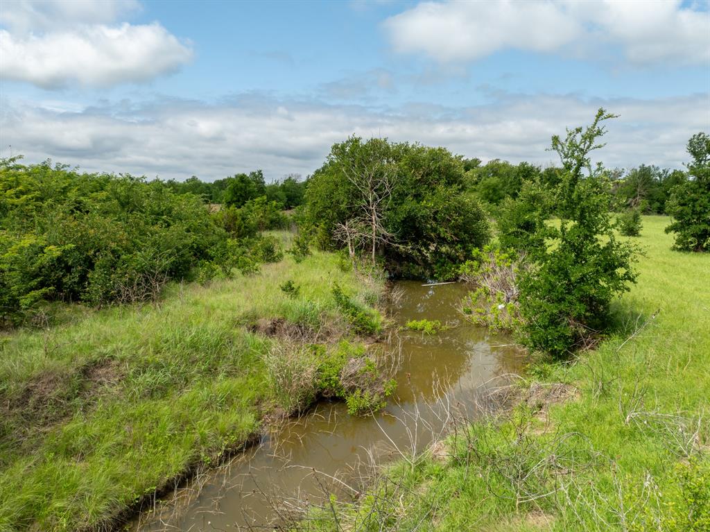 12069 Fm-1602 Hamilton, TX 76531 - Photo 12 of 32 View of undeveloped land