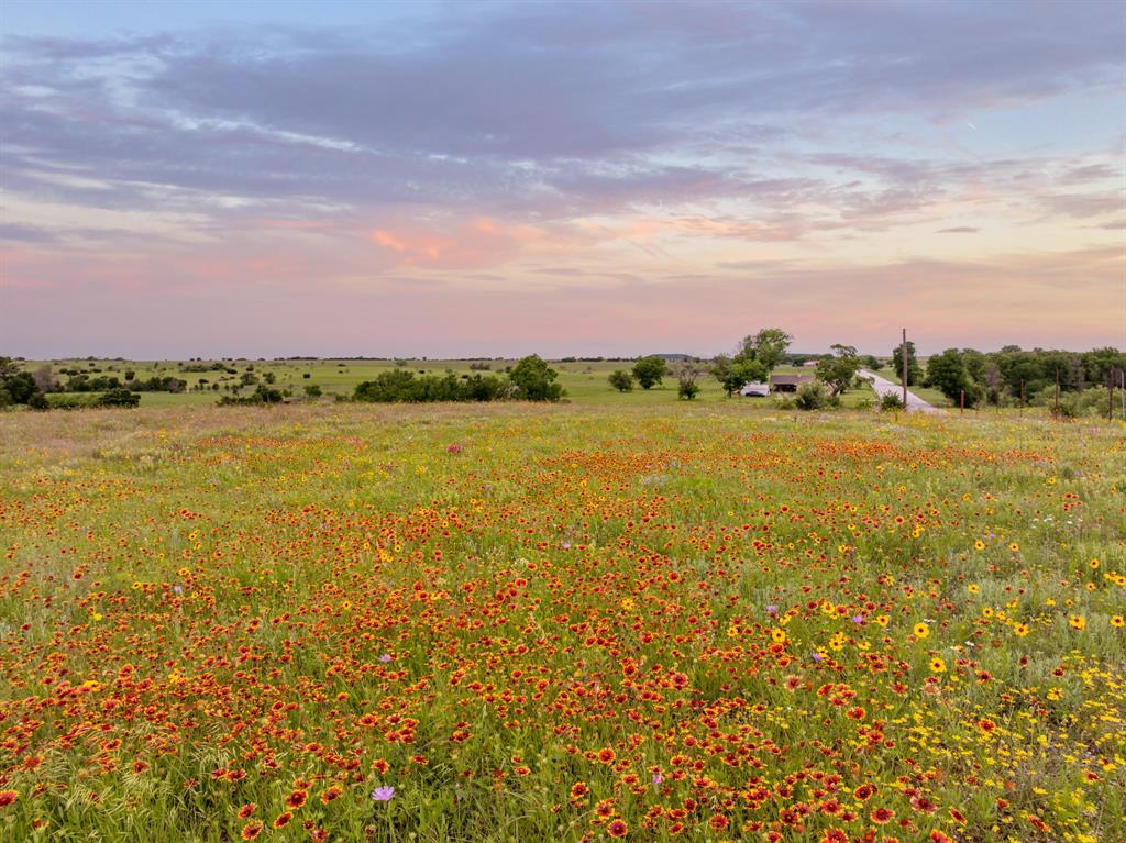 12069 Fm-1602 Hamilton, TX 76531 - Photo 5 of 32 View of undeveloped land with rural landscape