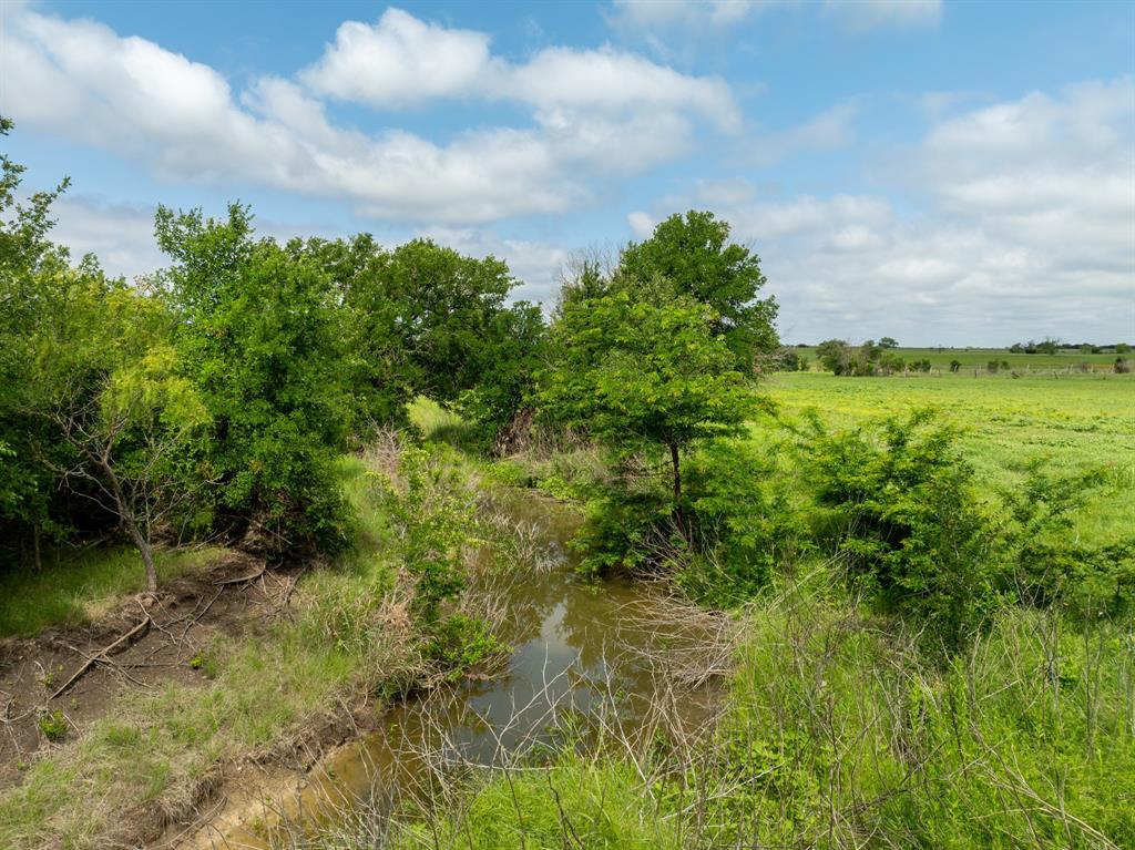 12069 Fm-1602 Hamilton, TX 76531 - Photo 9 of 32 View of nature