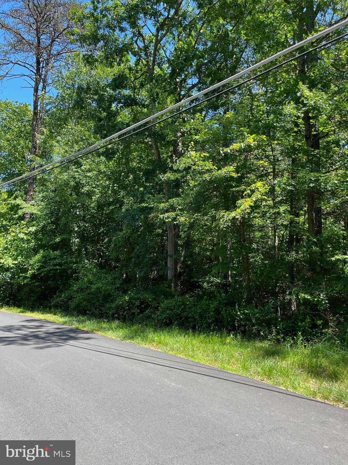 11408 Park Drive Fairfax, VA 22030 - Photo 3 of 6