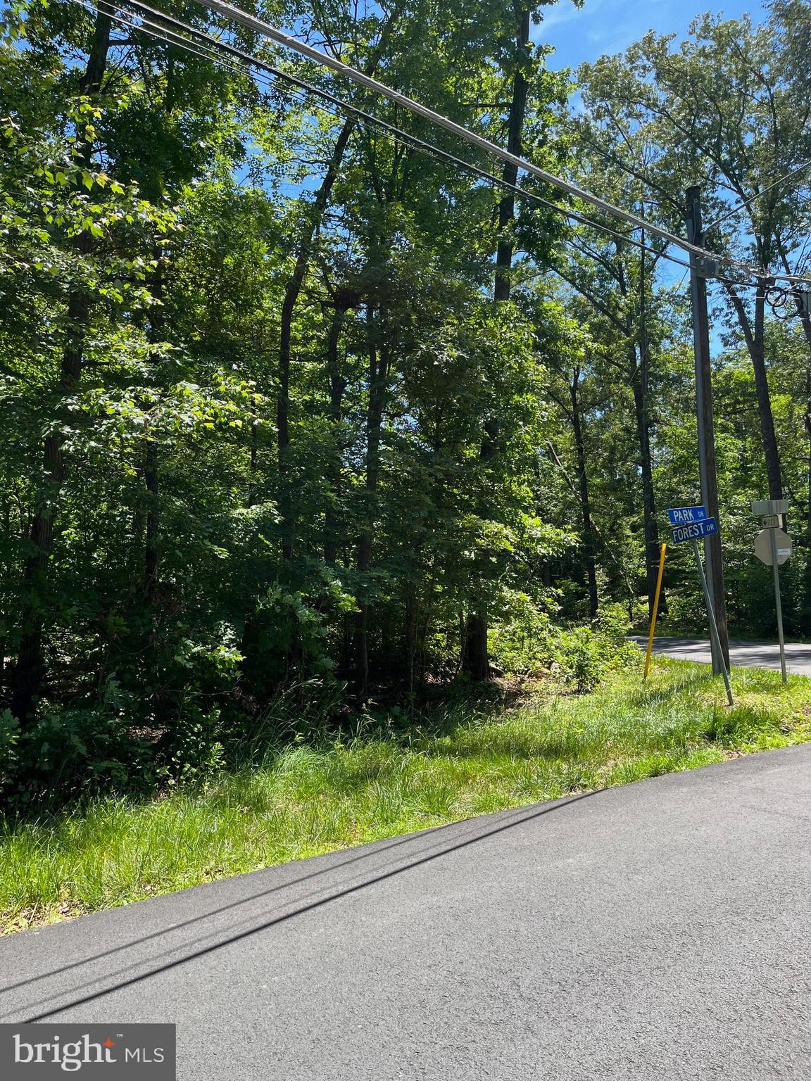 11408 Park Drive Fairfax, VA 22030 - Photo 5 of 6