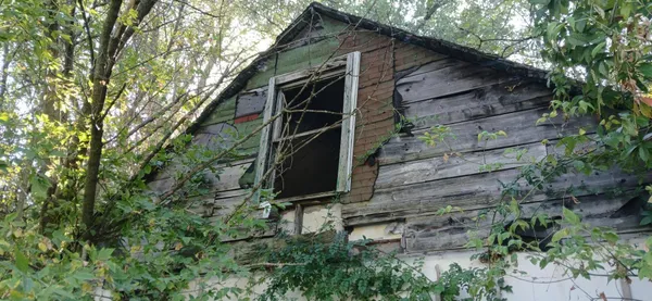 a backyard of a house with lots of green space
