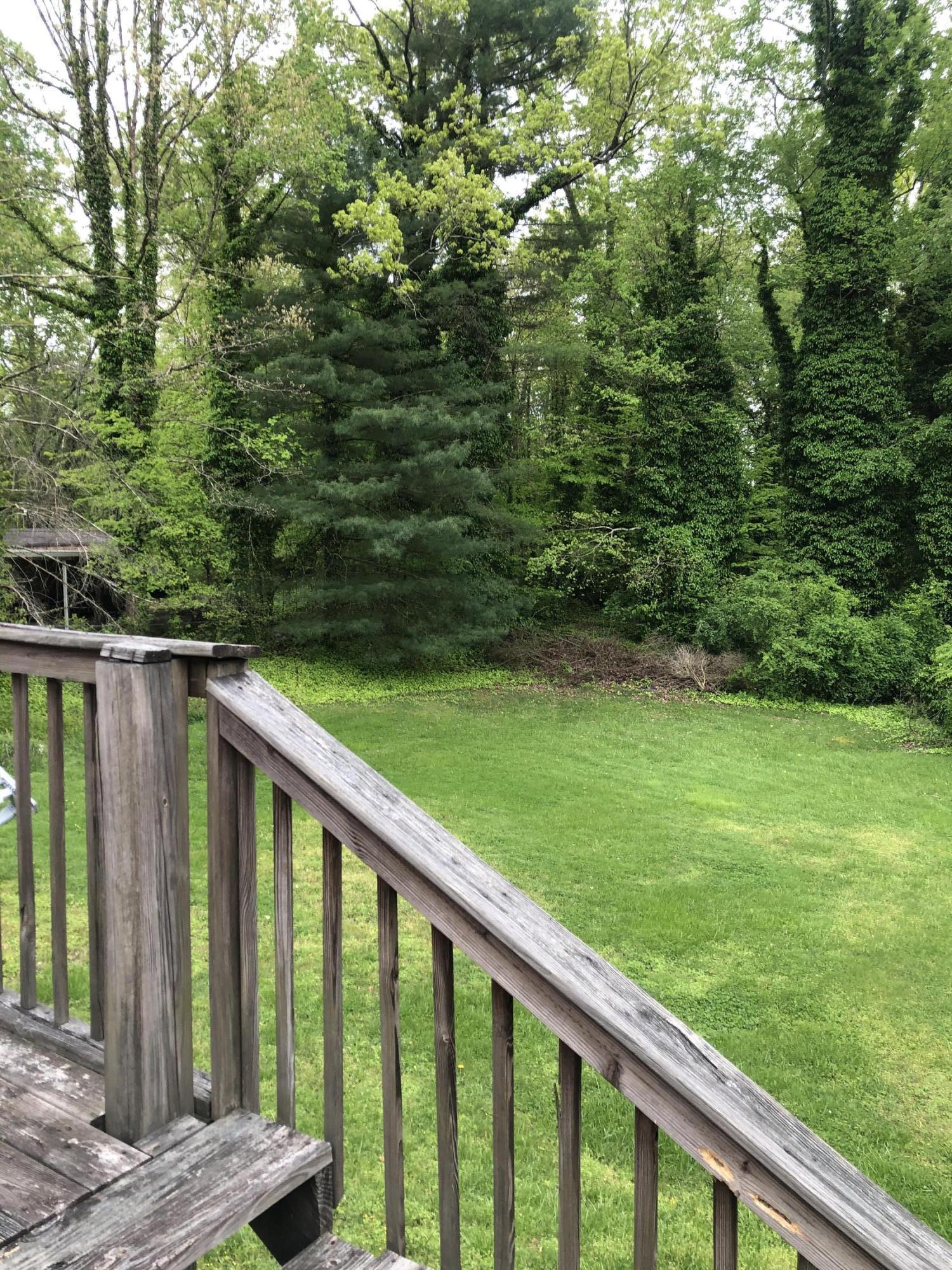 213 Alhambra Road Oak Ridge, TN 37830 - Photo 14 of 15 IMG-4320