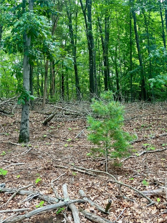 3307 Diamond Hill Road Cumberland, RI 02864 - Photo 8 of 22 Gallery Image 8