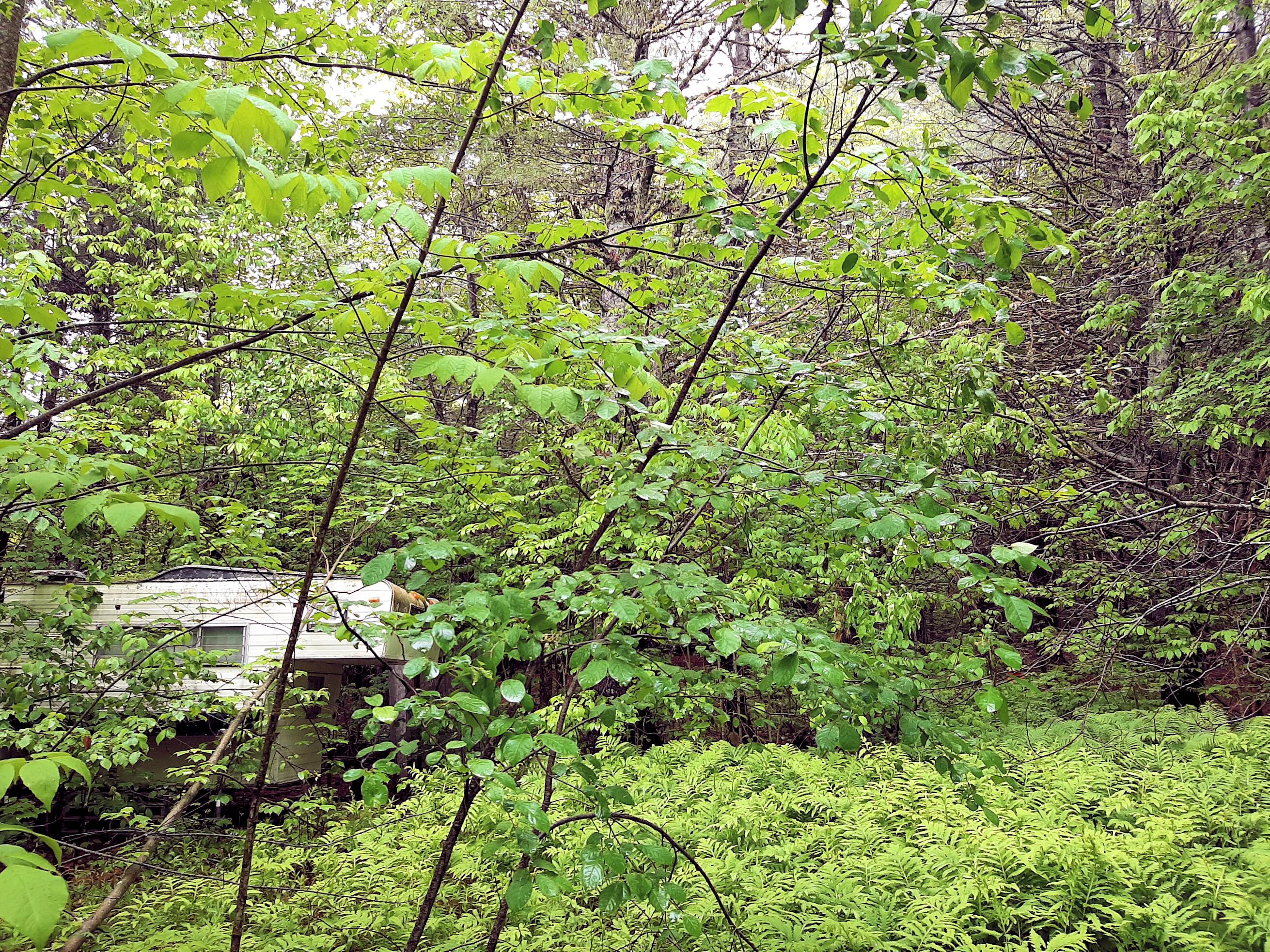 Lot # Lot#17-9 North Road Winn, ME 04495 - Photo 8 of 31 1 TBD North Road 1h