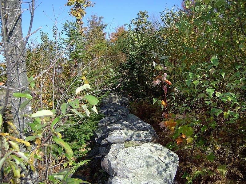 Lot 8 Lyle Hall Road Wilton, ME 04294 - Photo 4 of 9 Photo