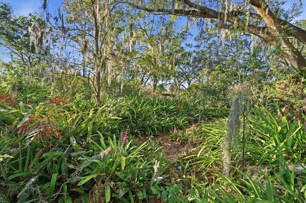 16921 Crawley Road Odessa, FL 33556 - Photo 10 of 53
