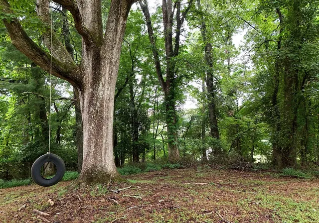 a view of house with yard