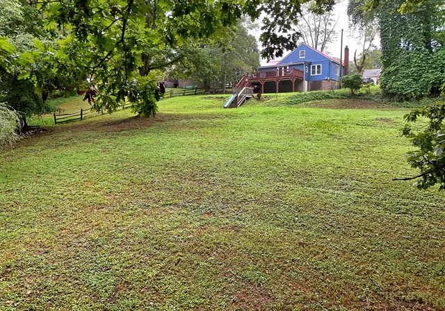 a view of a bench in the garden near a tree