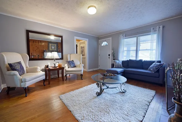 a living room with furniture and a rug