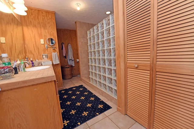 a bathroom with a sink a mirror and a shower