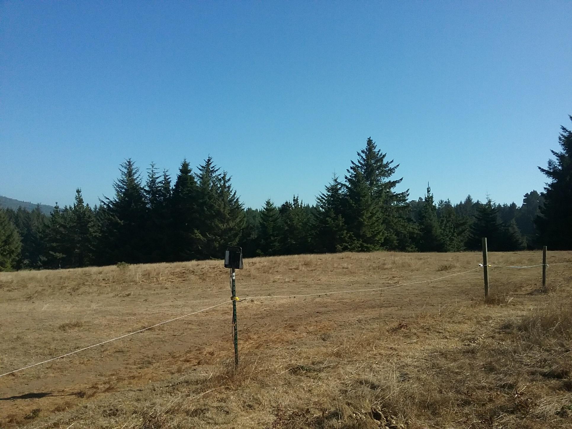 487 Hookton Cemetary Road Loleta, CA 95551 - Photo 2 of 6 20180924_155502_resized - Copy