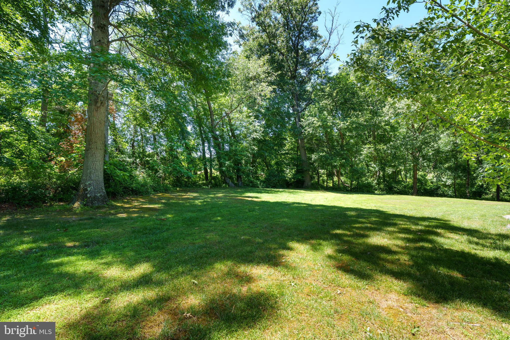 116 Rabbit Hill Road Princeton Junction, NJ 08550 - Photo 8 of 83 Huge Private Side yard