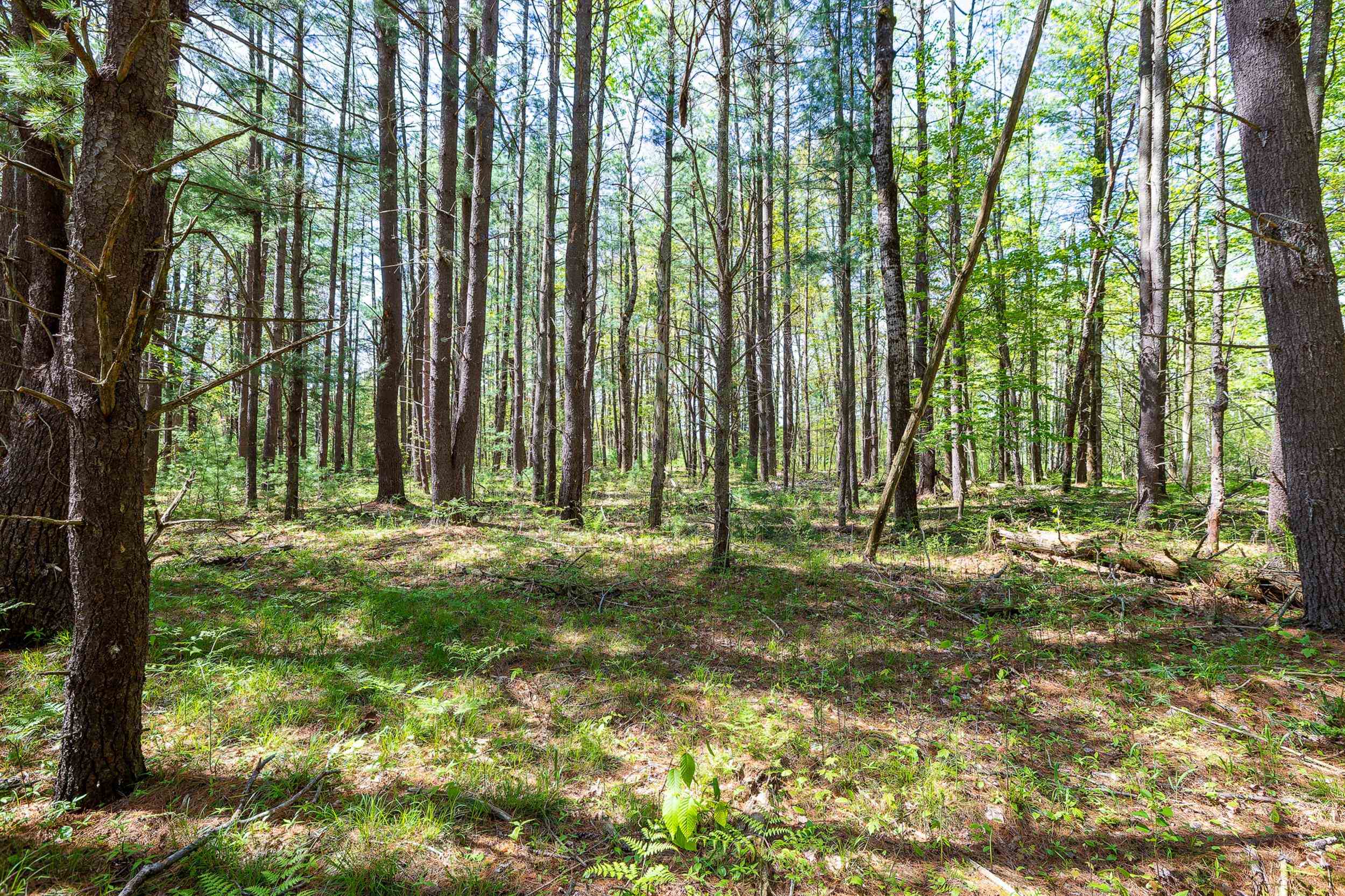 0 Makinen Road Kaleva, MI 49645 - Photo 11 of 25