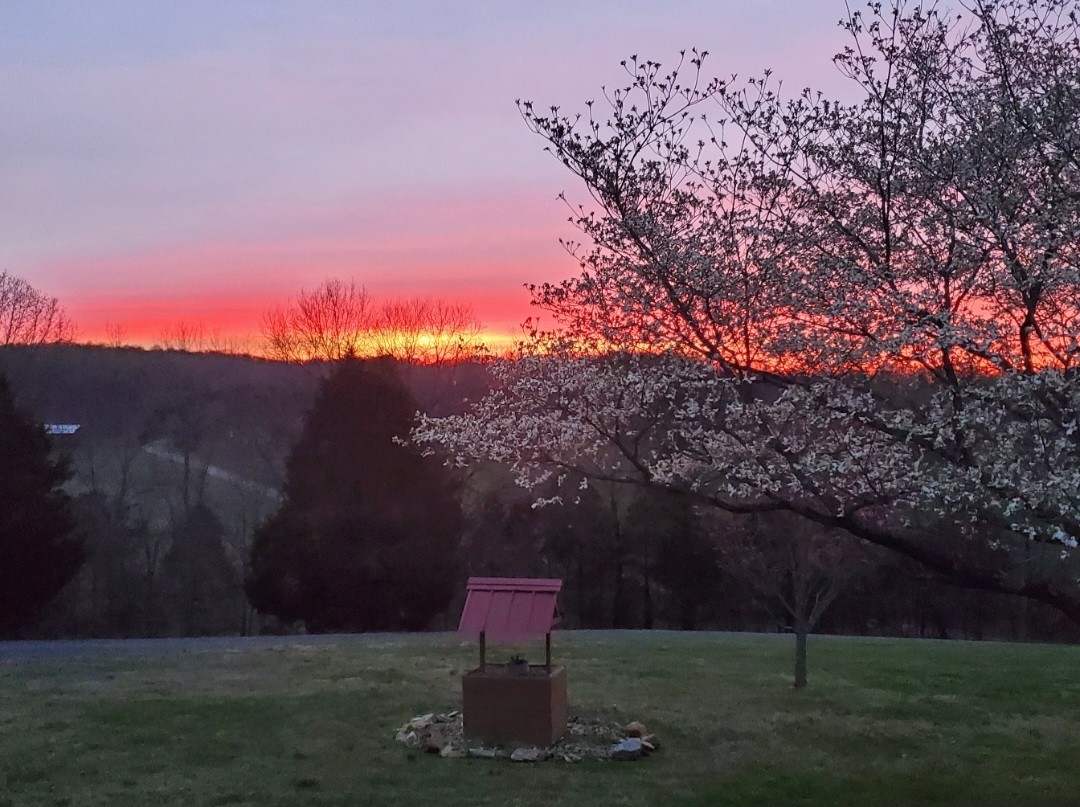 1800 Rock Bridge Road Bethpage, TN 37022 - Photo 54 of 70 a backyard of a house with lots of green space