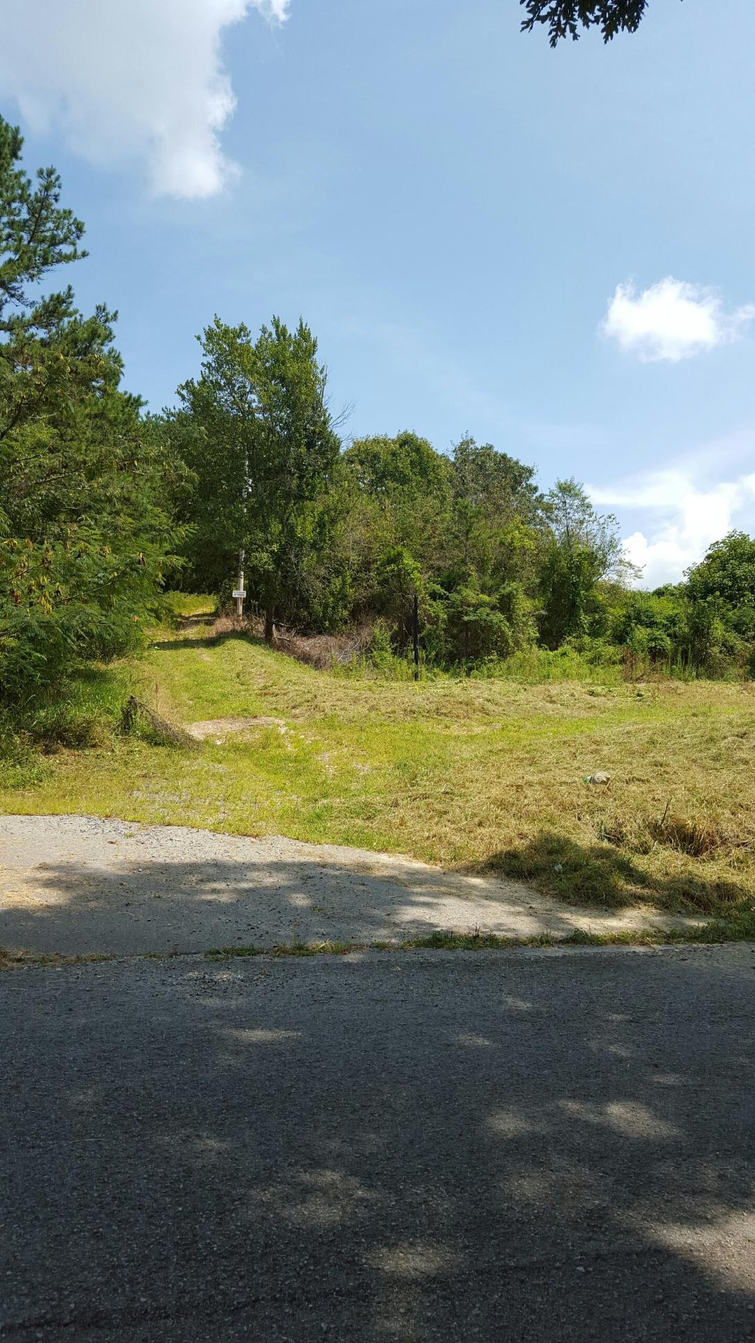 1020 Woods Hollow Road Decatur, TN 37322 - Photo 3 of 4 IMG_0246