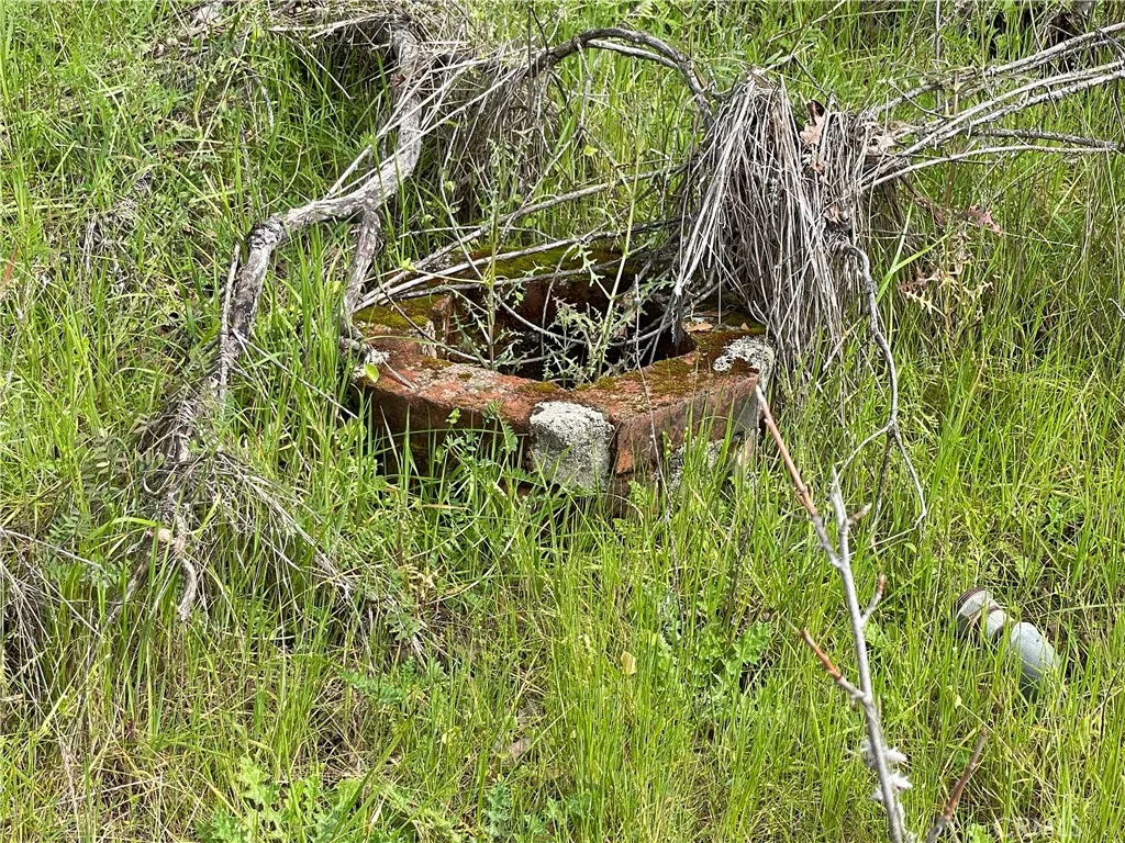832 Silver Bar Road Mariposa, CA 95338 - Photo 3 of 7 a close up of a plant in a garden