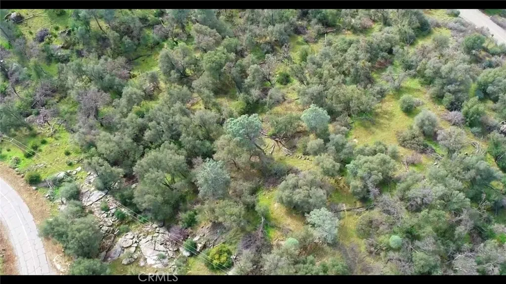 832 Silver Bar Road Mariposa, CA 95338 - Photo 6 of 7 a view of a forest with a yard