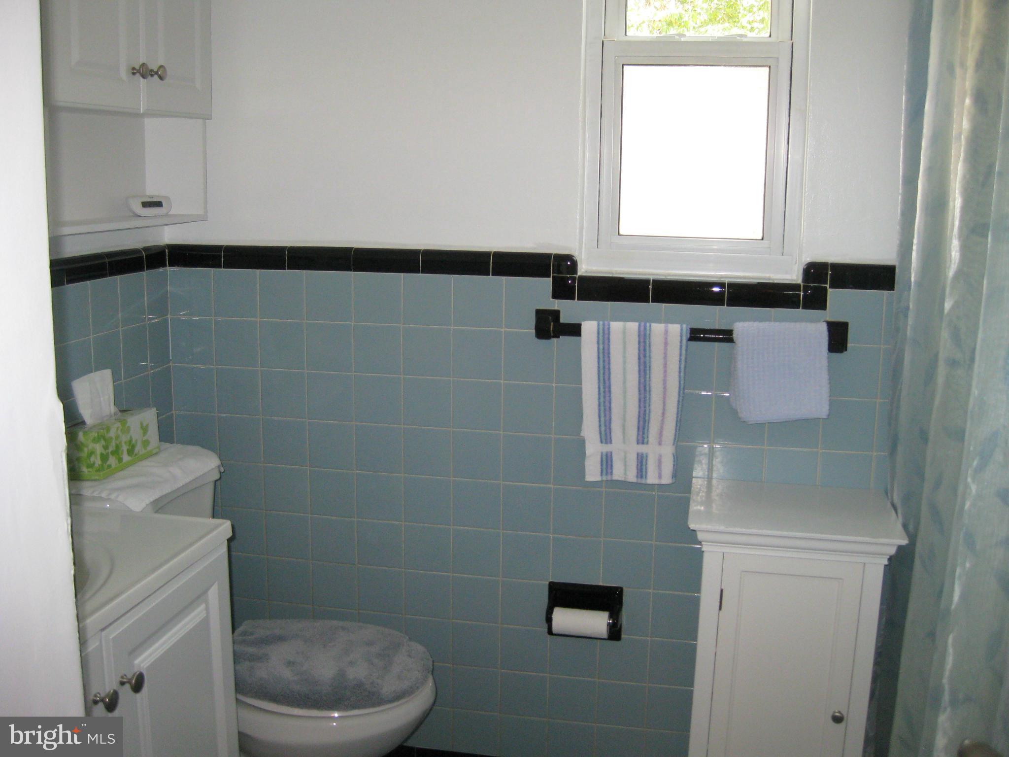 7409 Bath Street Springfield, VA 22150 - Photo 11 of 12 Bath (Master)
