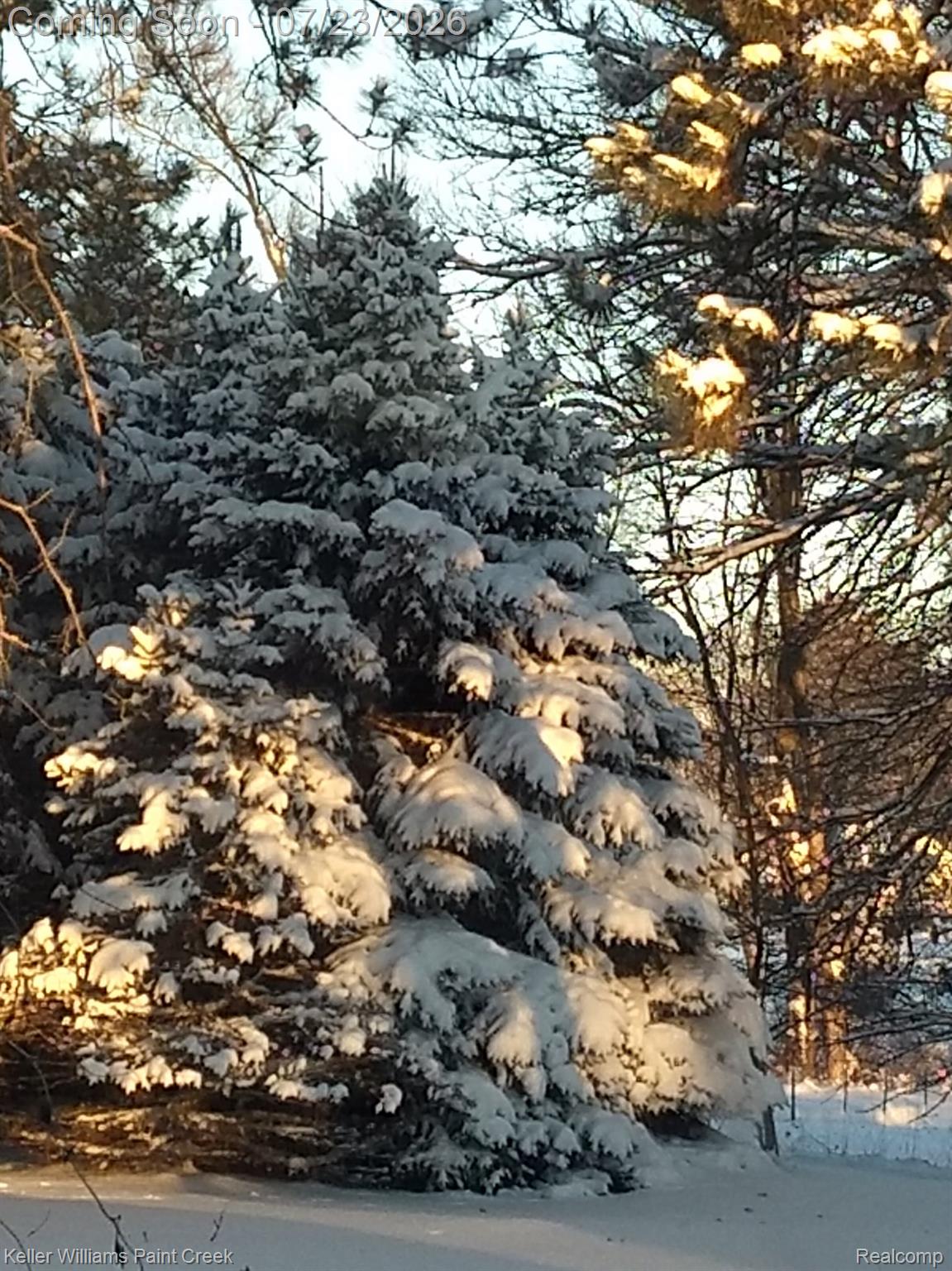 423 East Road Holly, MI 48442 - Photo 56 of 61 Snowy Pines (2).jpg