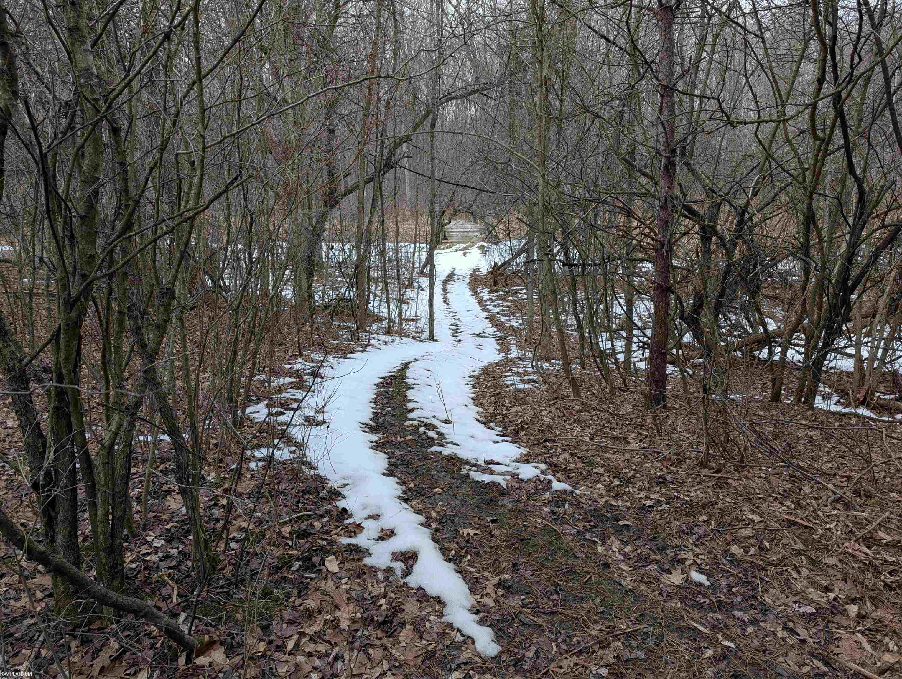 9072 Green Road Goodells, MI 48027 - Photo 44 of 73