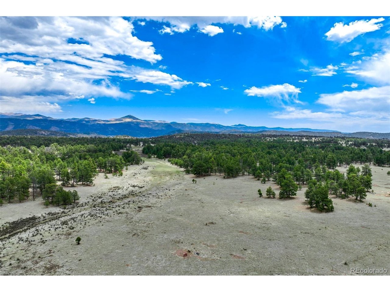 103 Doe Valley Road Guffey, CO 80820 - Photo 45 of 46
