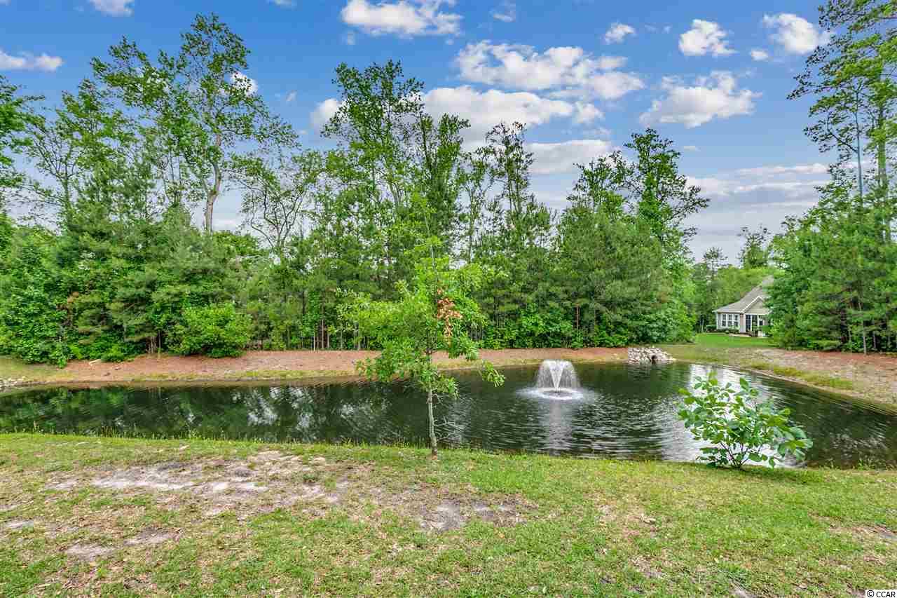 121 Rivers Edge Drive Conway, SC 29526 - Photo 33 of 40 Gallery Image 33