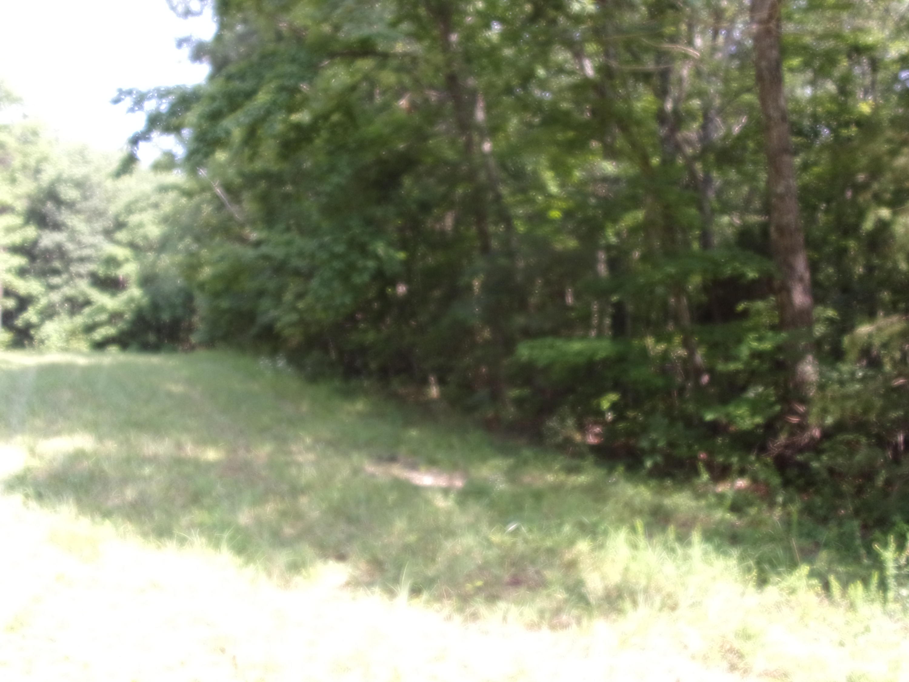 122 Jason Road, Unit 122 Pikeville, TN 37367 - Photo 14 of 20 101_1289