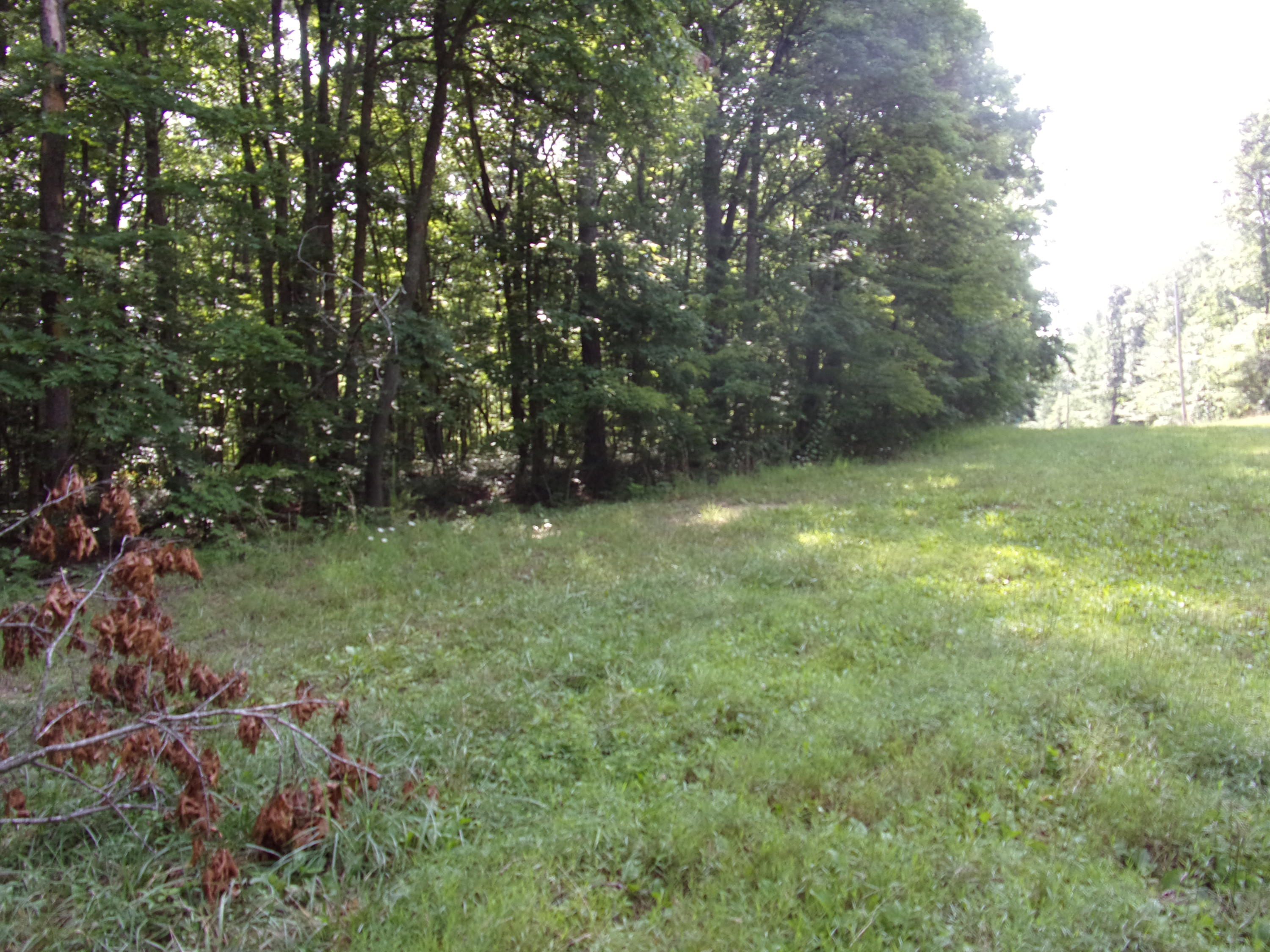 122 Jason Road, Unit 122 Pikeville, TN 37367 - Photo 5 of 20 101_1279