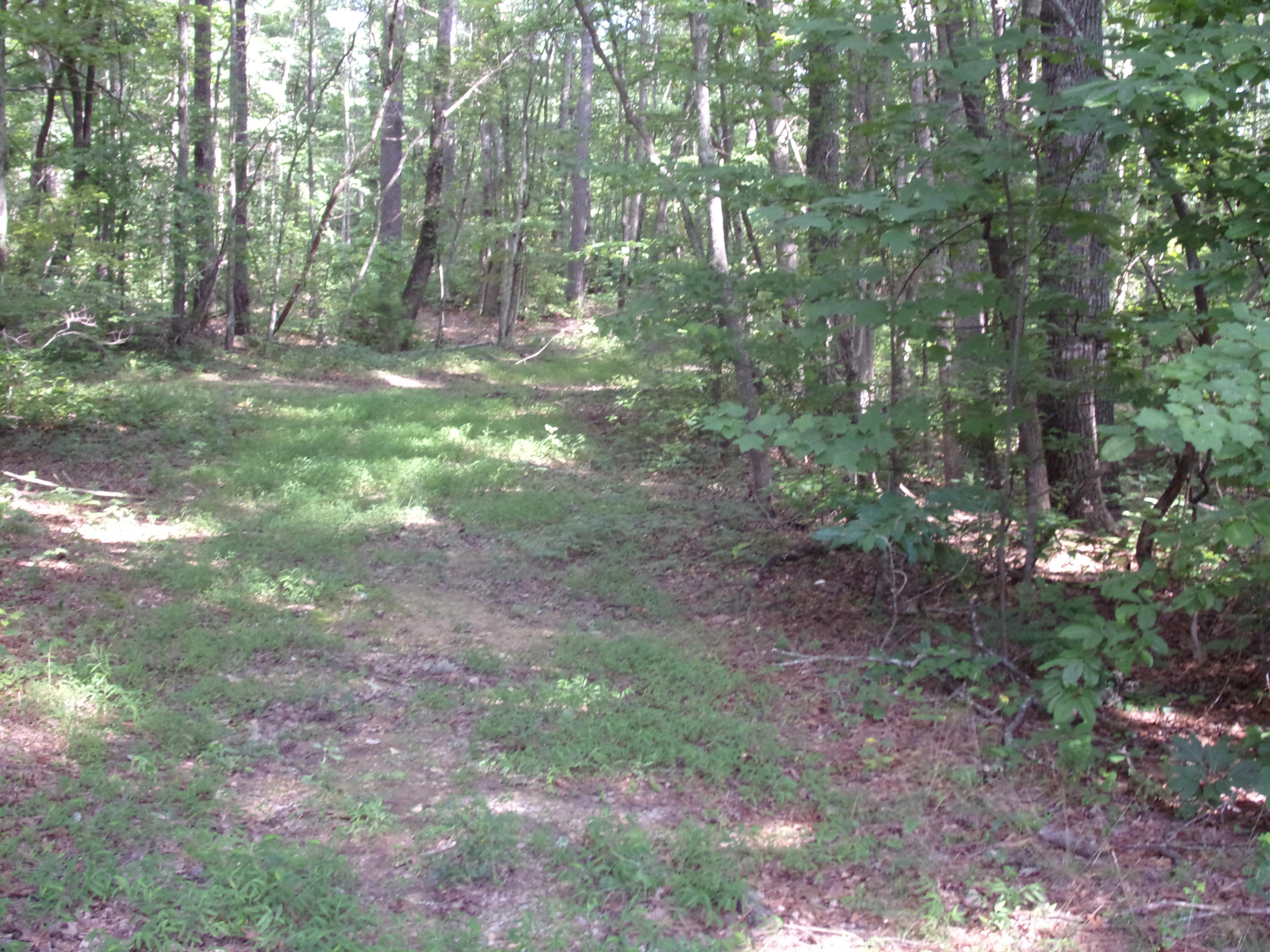 122 Jason Road, Unit 122 Pikeville, TN 37367 - Photo 6 of 20 101_1280