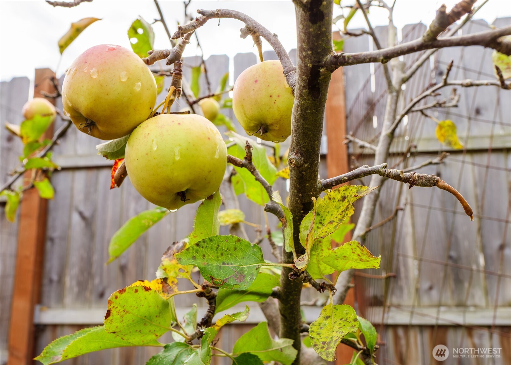 553 Dryke Road Sequim, WA 98382 - Photo 35 of 40