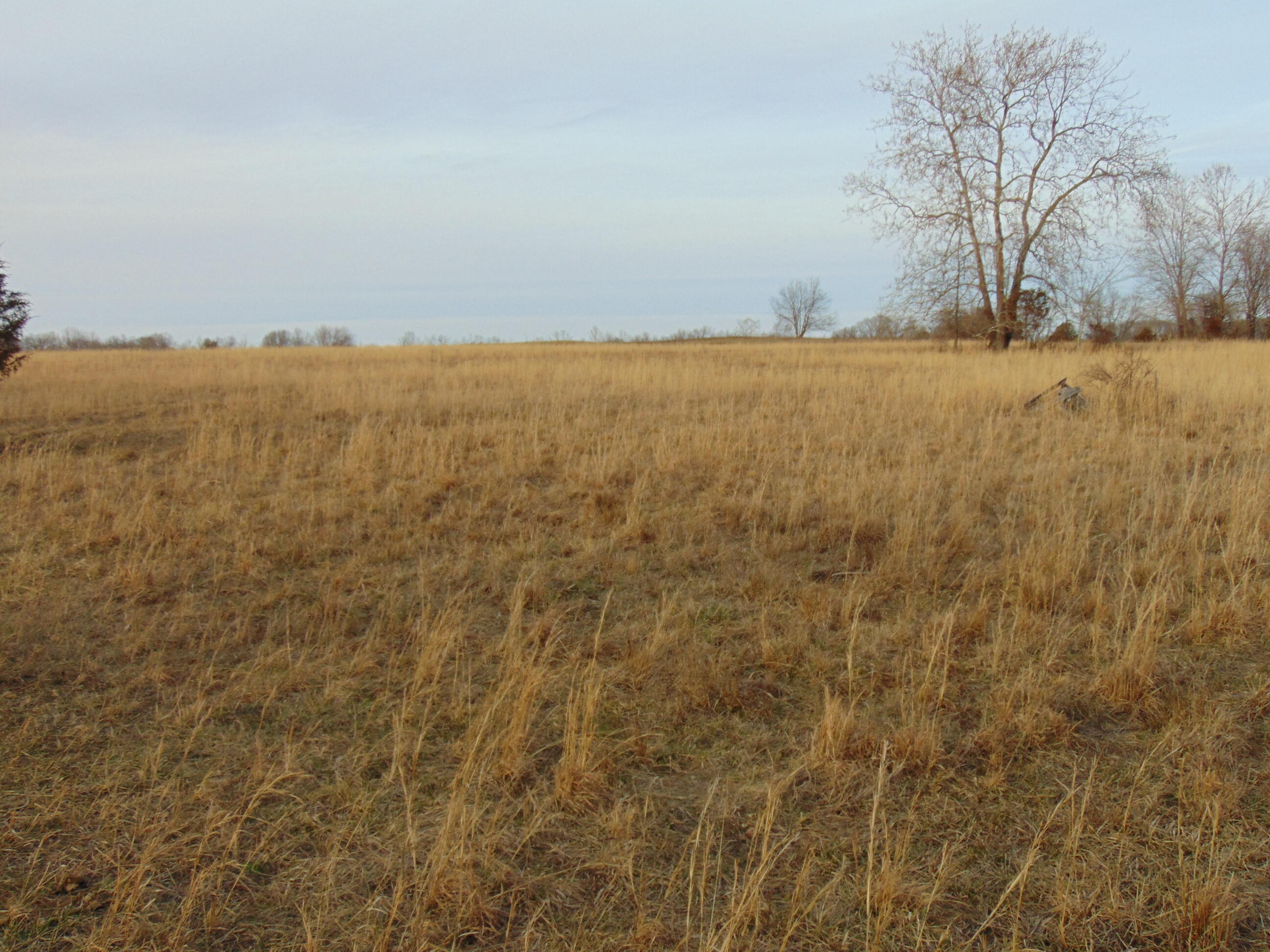 0 Charlie Norris Road Richmond, KY 40475 - Photo 1 of 15 DSC01333
