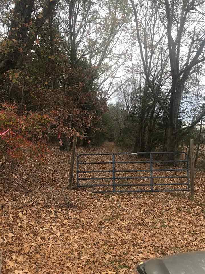 690 State Rd S-42-475 Pauline, SC 29374 - Photo 1 of 3 Gallery Image 1