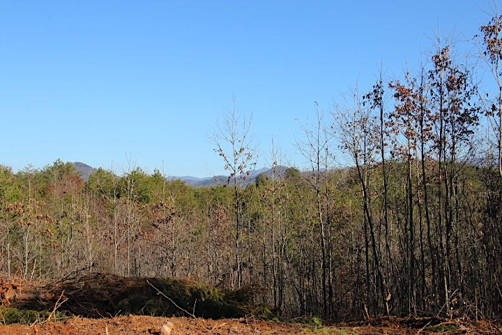 8 Curtis Road Tellico Plains, TN 37385 - Photo 2 of 8 IMG_7485