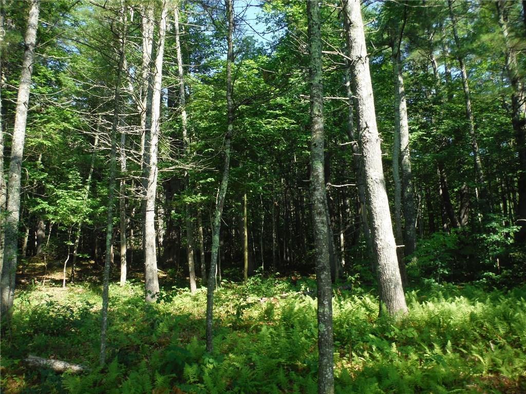 0 Murray Road Jefferson, ME 04348 - Photo 2 of 4 Photo