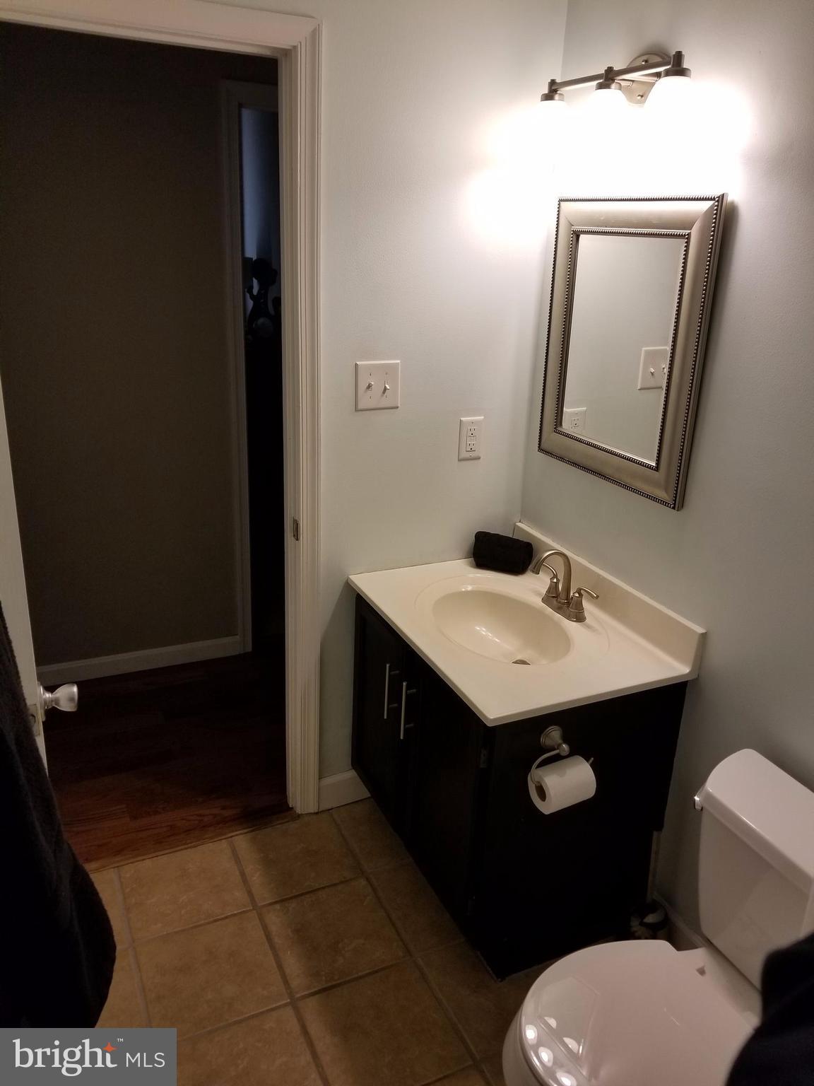 307 Raven Road Stephens City, VA 22655 - Photo 8 of 8 a bathroom with a sink a toilet and mirror